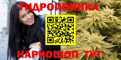 МДПВ Заводоуковск