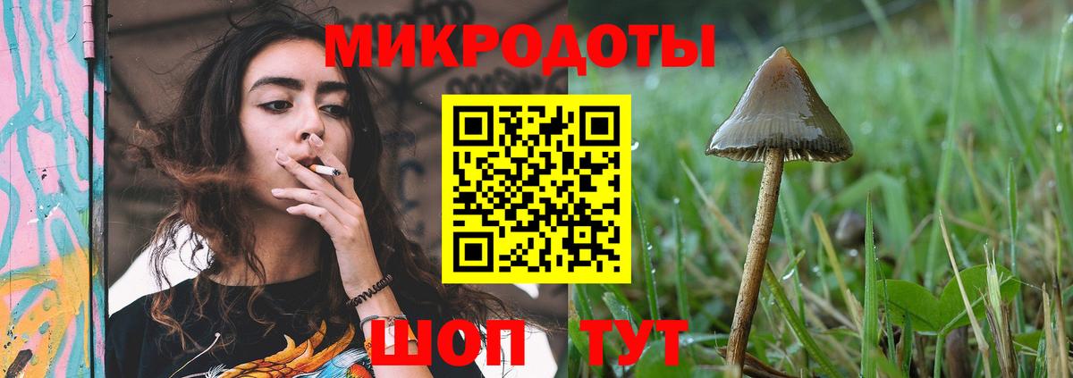 Вязьма  Псилоцибиновые грибы мухоморы  Вход с VPN 